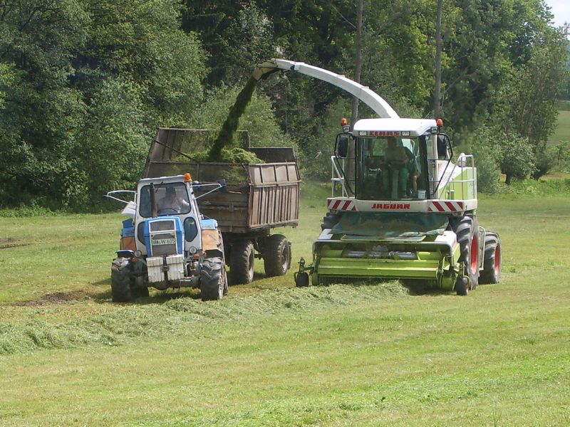 bilder/Fabian/8_6_2006/Claas Jaguar 900 mit Fortschritt ZT 303 - D 01.jpg